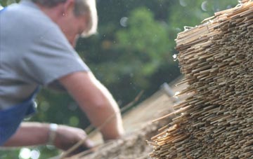 professional Paulton thatchers