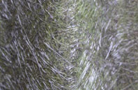 Paulton fibreglass roof work