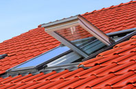Paulton roof window
